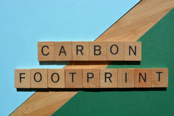 Carbon Footprint, words in wooden alphabet letters isolated on colourful background